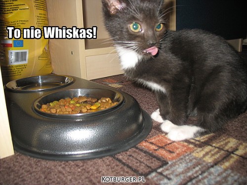 To nie Whiskas! – To nie Whiskas! 