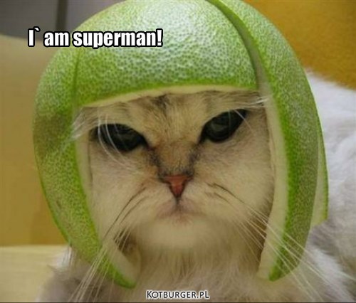 I` am superman! – I` am superman! 