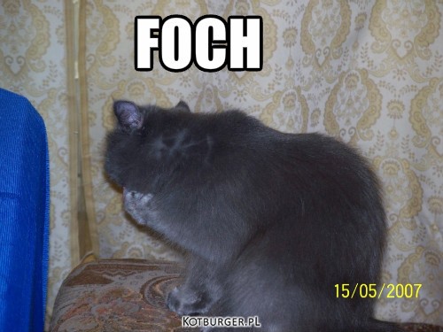 :D:D – FOCH 