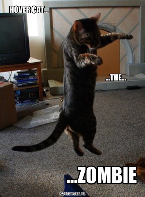 THE MOVIE! – ...ZOMBIE HOVER CAT... ...THE... 
