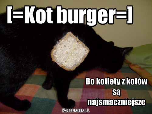 Kotburger – [=Kot burger=] Bo kotlety z kotów
są 
najsmaczniejsze 