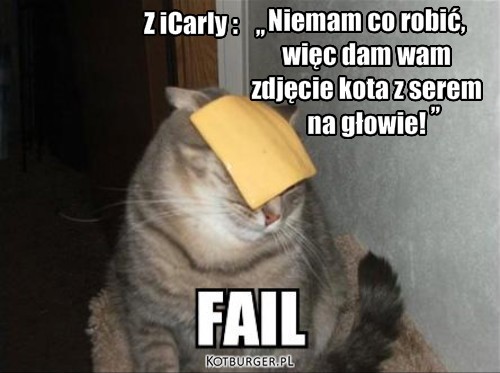 Failure! – Niemam co robić,
więc dam wam
zdjęcie kota z serem 
na głowie! ,, ,, Z iCarly : 