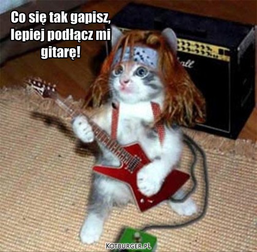 PArty hard – Co się tak gapisz,
lepiej podłącz mi 
gitarę! 