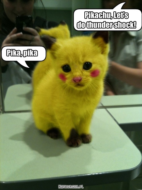 POKES – Pika, pika Pikachu, Let's
do thunder shock! 