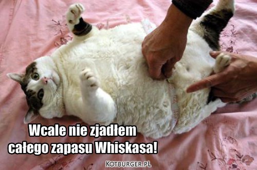 Wcale nie zjadłem 
całego zapasu Whiskasa! – Wcale nie zjadłem 
całego zapasu Whiskasa! 