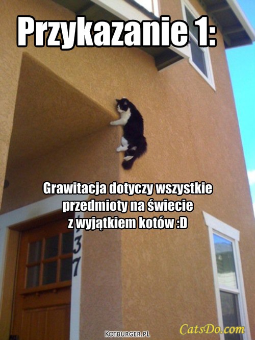  ... – Przykazanie 1: Grawitacja dotyczy wszystkie 
przedmioty na świecie 
z wyjątkiem kotów :D 