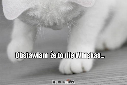 Whiskas – Obstawiam  że to nie Whiskas... 