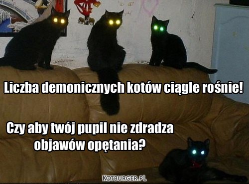 Demoniczne koty – Czy aby twój pupil nie zdradzaobjawów opętania? Liczba demonicznych kotów ciągle rośnie! 