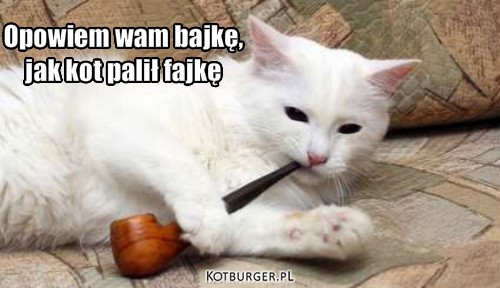 Kot :) – Opowiem wam bajkę,
jak kot palił fajkę 