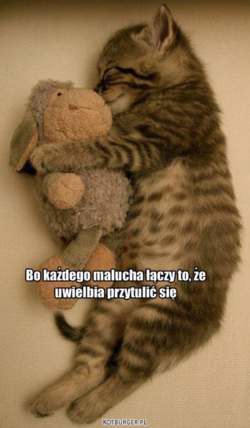 Maskotka dla małego kotka.  – Bo każdego malucha łączy to, że 
uwielbia przytulić się 