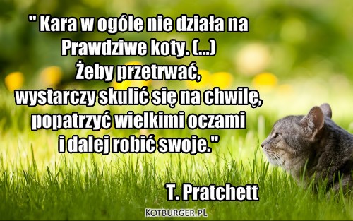 Grzeczny kot – " Kara w ogóle nie działa na 
Prawdziwe koty. (...) 
Żeby przetrwać,
wystarczy skulić się na chwilę,
popatrzyć wielkimi oczami 
i dalej robić swoje."

                                          T. Pratchett 