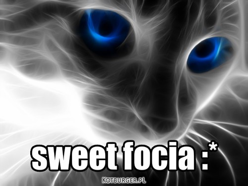 Sweet focia – sweet focia :* 