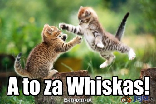 A to za Whiskas... – A to za Whiskas! 