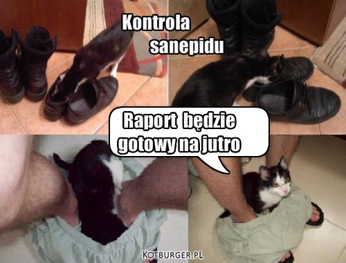 Sanepid – Kontrola 
                  sanepidu Raport  będzie  
gotowy na jutro 