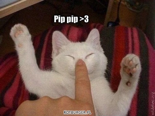 Pip pip >3 – Pip pip &gt;3 