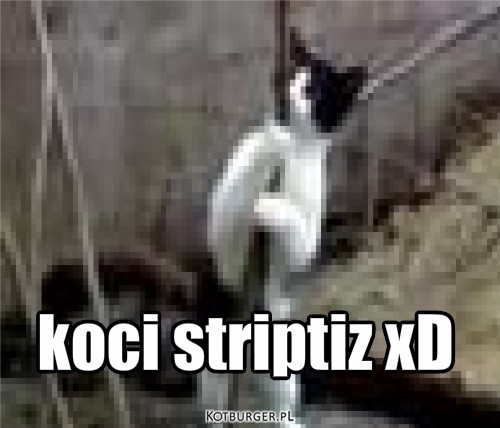 ^^ – koci striptiz xD 