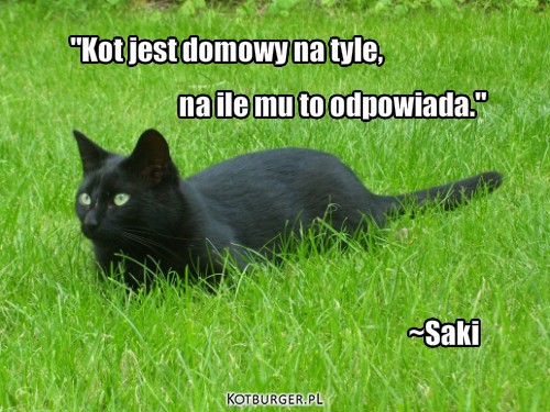 Domowy kot – ~Saki "Kot jest domowy na tyle, na ile mu to odpowiada." 