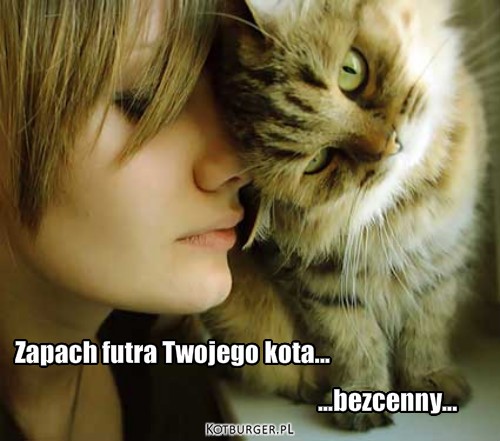 Zapach kota – Zapach futra Twojego kota... ...bezcenny... 