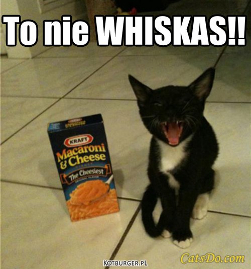 Whiskas – To nie WHISKAS!! 
