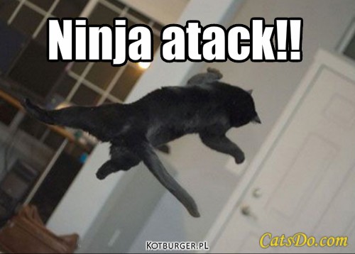 Ninja – Ninja atack!! 