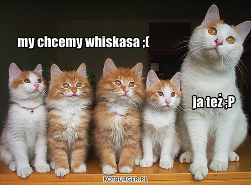 Whiskas  – my chcemy whiskasa ;( ja też ;P 
