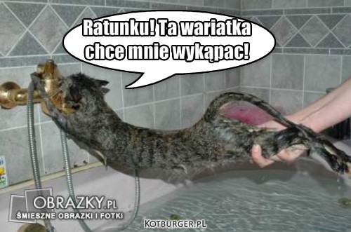 Kot w kąpieli! – Ratunku! Ta wariatka
chce mnie wykąpac! 