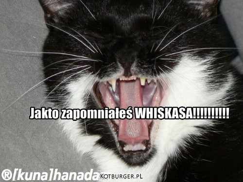 Whiskas – Jakto zapomniałeś WHISKASA!!!!!!!!!! 