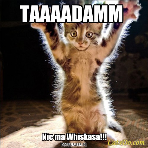 Taadam – TAAAADAMM Nie ma Whiskasa!!! 