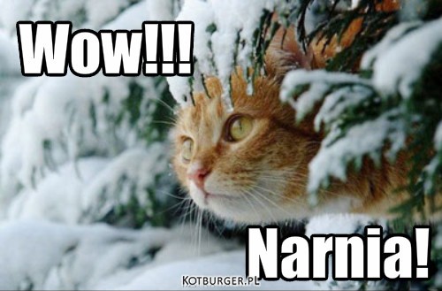 Wow!! – Wow!!! Narnia! 