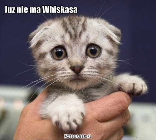 Whiskas –  