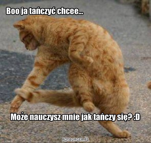 Ja tańczę – Boo ja tańczyć chcee... Może nauczysz mnie jak tańczy się? :D 