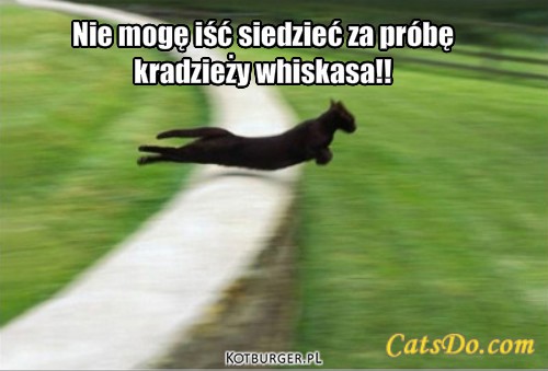 Kradzież whiskasa – Nie mogę iść siedzieć za próbę 
kradzieży whiskasa!! 
