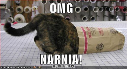Narnia! –  