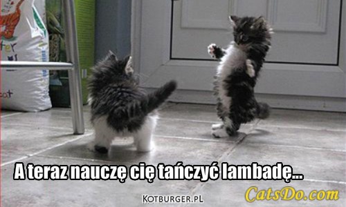 Lambada – A teraz nauczę cię tańczyć lambadę... 