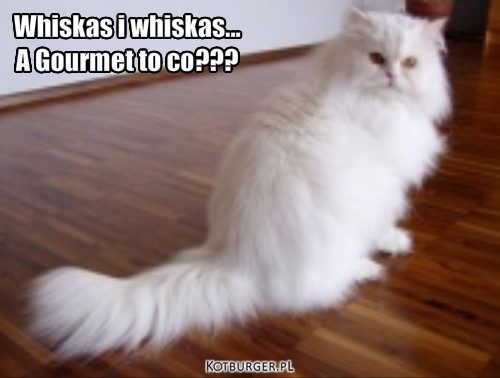 Gourmet – Whiskas i whiskas...
A Gourmet to co??? 