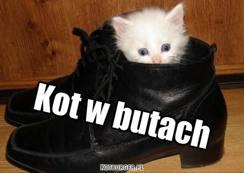 Buciki :) – Kot w butach 