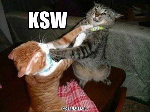 KSW  – KSW 