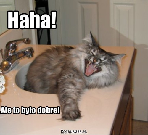 Very Funny - kot w umywalce – Haha! Ale to było dobre! 