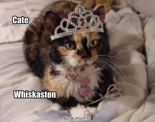 Księżna – Cate Whiskaston 