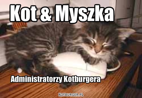Administrator - część 2 – Kot &amp; Myszka Administratorzy Kotburgera 