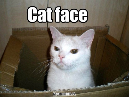 Very Funny - część 2 – Cat face 