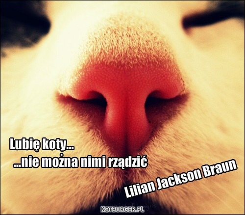  ... – Lilian Jackson Braun Lubię koty... ...nie można nimi rządzić 