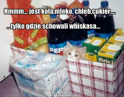 Whiskas w sklepie – Hmmm... jest kola,mleko, chleb,cukier.... ...tylko gdzie schowali whiskasa... 