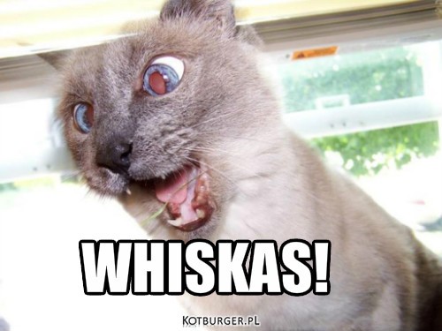 Whiskas – WHISKAS! 