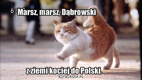 Marsz, marsz – Marsz, marsz, Dąbrowski z ziemi kociej do Polski. 