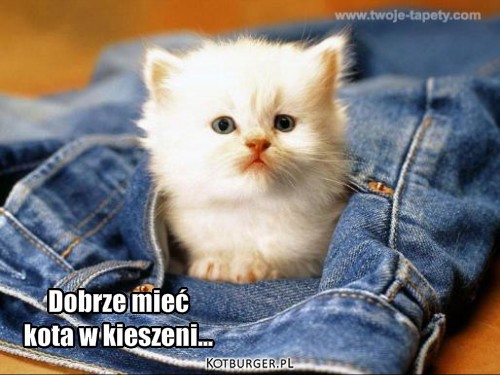 ;D – Dobrze mieć 
kota w kieszeni... 