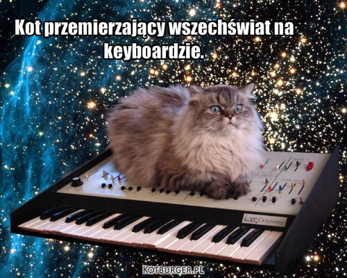 Kot podróżnik. – Kot przemierzający wszechświat na 
keyboardzie. 