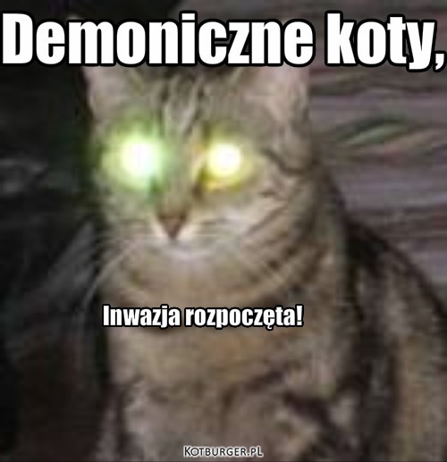 Demoniczne koty, Inwazja rozpoczęta! – Demoniczne koty, Inwazja rozpoczęta! 