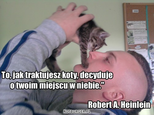 To jak traktujesz koty – To, jak traktujesz koty, decyduje 
o twoim miejscu w niebie." Robert A. Heinlein 