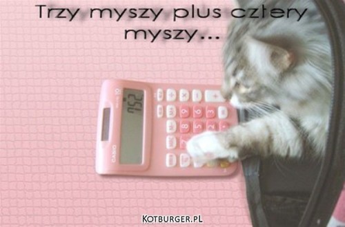 Kalkulator. –  